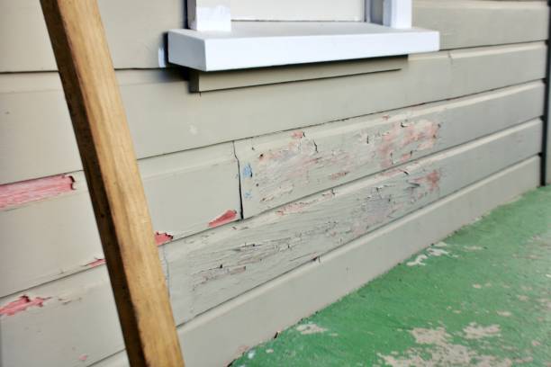 Best Siding Painting and Refinishing  in Geneva, AL